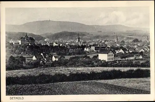 Ak Detmold in Nordrhein Westfalen, Panorama vom Ort