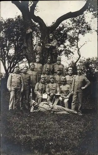 Foto Ak Kuk Soldaten in Uniformen, Gruppenportrait an einem Baum