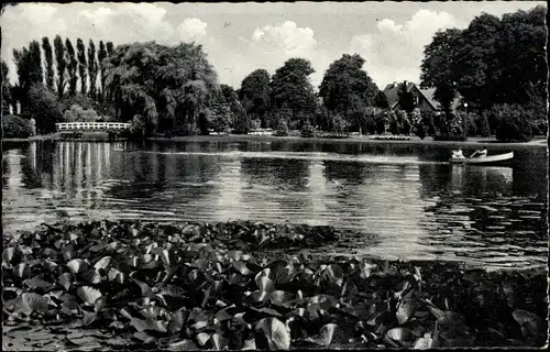 Ak Uetersen Schleswig Holstein, Rosarium, Uferpartie, Wasserpflanzen, Ruderboot