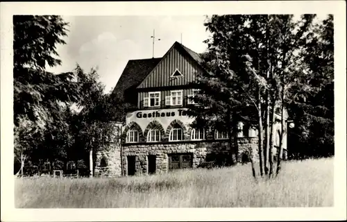 Ak Carlsfeld Eibenstock im Erzgebirge, Gasthaus Talsperre, Wiese