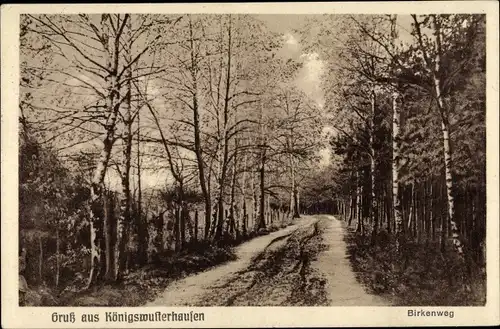 Ak Königs Wusterhausen in Brandenburg, Birkenweg