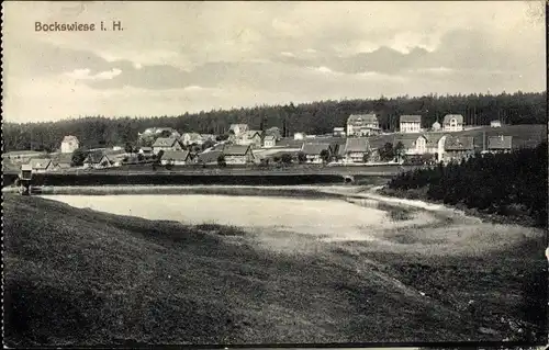 Ak Hahnenklee Bockswiese Goslar, Ortspanorama