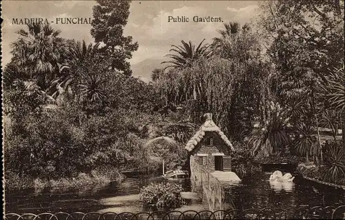 Ak Funchal Insel Madeira Portugal, Public Gardens