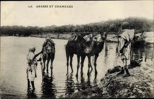 Ak Arabes et Chameaux, Araber, Kamele