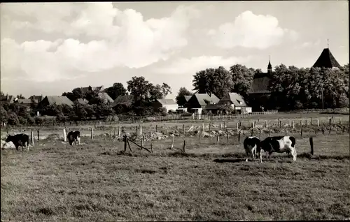 Ak Neustadt in Ostholstein, Blick auf den Ort, Kühe