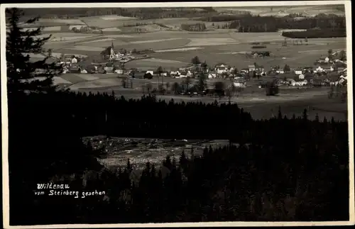 Foto Ak Wildenau Steinberg Sachsen, Panorama