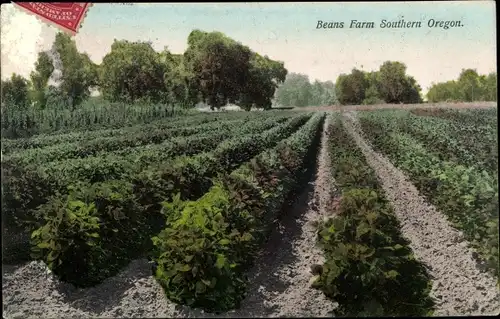 Ak Southern Oregon, Beans Farm