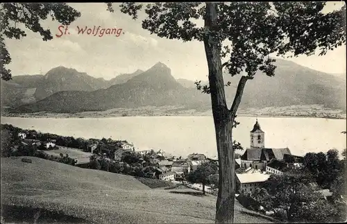 Ak St. Wolfgang im Salzkammergut in Oberösterreich, Panorama vom Ort