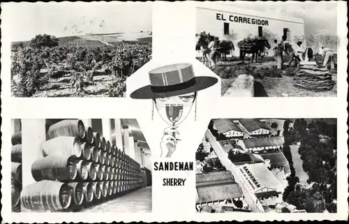 Ak Jerez de la Frontera Andalusien Spanien, Sandeman Sherry, Vineyards and Bodegas, El Corregidor