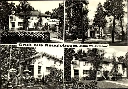 Ak Neuglobsow Stechlin Brandenburg, Haus Waldfrieden, Terrasse, Garten