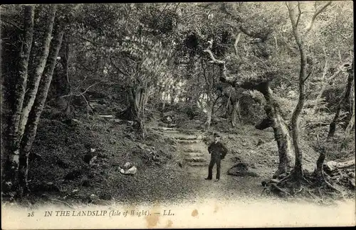 Ak Isle of Wight South East, In the Landslip