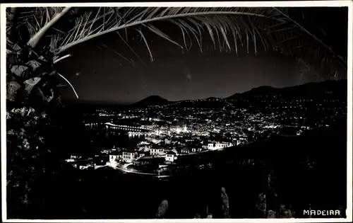 Foto Ak Funchal Insel Madeira Portugal, Panorama vom Ort bei Nacht, Palme
