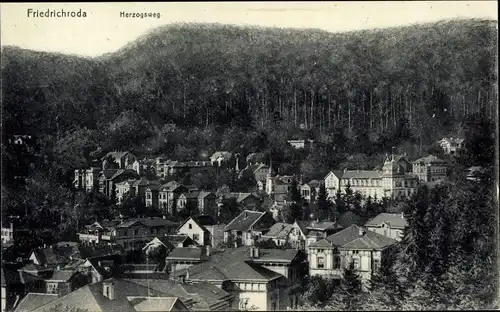 Ak Friedrichroda im Thüringer Wald, Herzogsweg, Blick über die Dächer