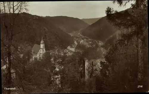 Ak Tharandt im Erzgebirge, Panorama vom Ort