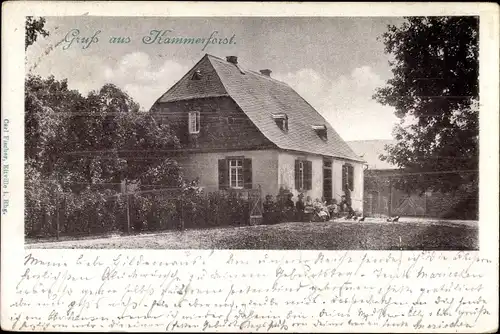 Ak Kammerforst Lorch Rheingau, Blick auf ein Haus, Außenansicht vom Garten