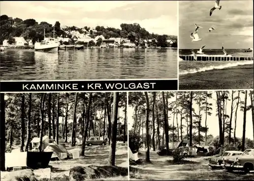 Ak Kamminke Landkreis Vorpommern Greifswald, Möwen, Campingplatz, Autos, Strand
