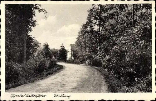 Ak Kellenhusen an der Ostsee, Waldweg