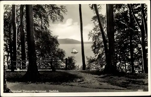 Ak Timmendorfer Strand in Ostholstein, Partie im Grünen, Bäume, Seeblick