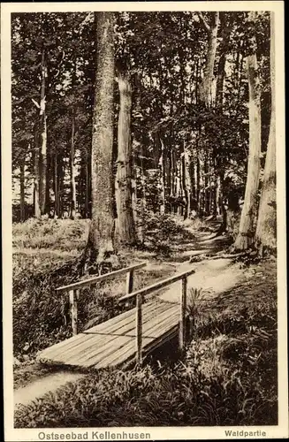Ak Kellenhusen in Ostholstein, Waldpartie, Holzbrücke