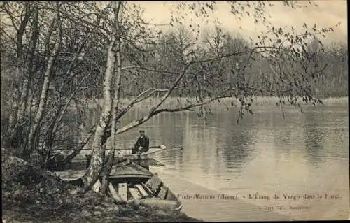 Ak Viels Maisons Aisne, L'Etang du Vergis dans la Foret