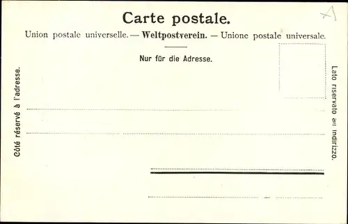 Ak Territet Montreux Kt. Waadt, Vue générale avev Chillon et la Dent du Midi