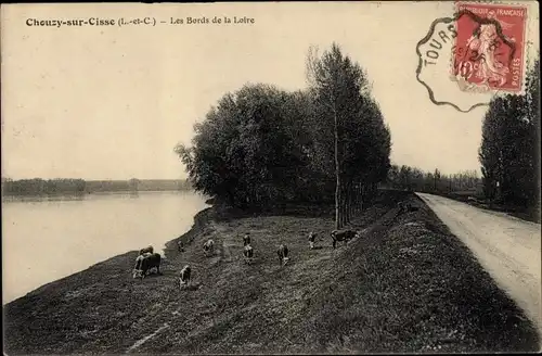 Ak Chouzy Loir et Cher, Les Bords de la Loire, vaches