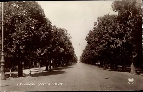 Ak București Bukarest Rumänien, Soseaua Kiseleff
