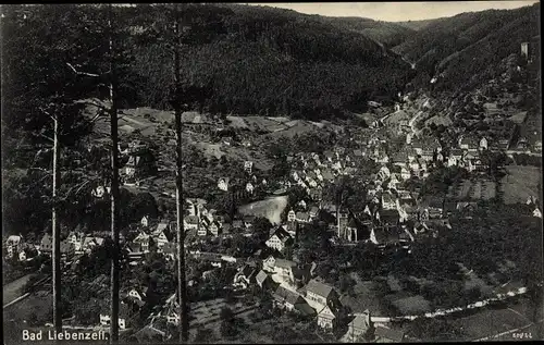 Ak Bad Liebenzell im Schwarzwald, Blick auf den Ort, Wald