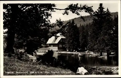 Ak Feldberg im Schwarzwald, Hotel Hebelhof, Villa Liseli, Uferpartie