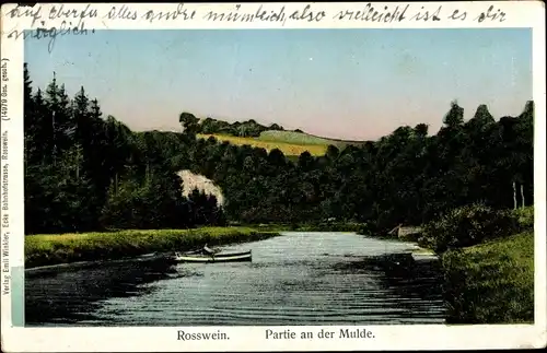 Ak Roßwein im Mittelsächsischen Bergland, Partie an der Mulde, Mann in Ruderboot, Wald