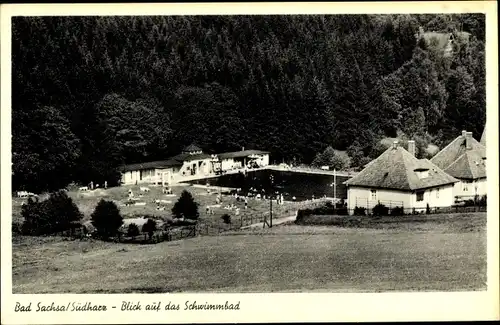 Ak Bad Sachsa in Niedersachsen, Schwimmbad, Wald