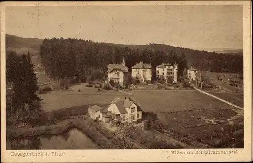 Ak Georgenthal in Thüringen, Villen im Schwimmbachtal, Panorama