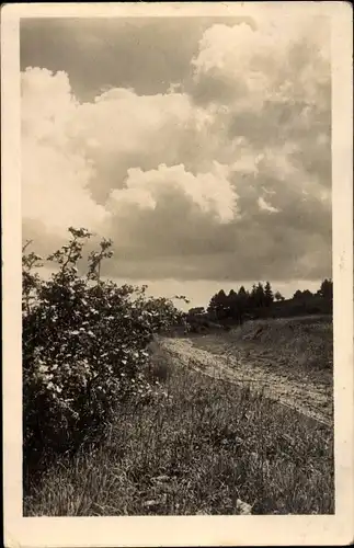 Ak Ungarn, Landschaft, Feldweg