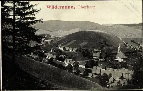 Ak Wildemann Clausthal Zellerfeld im Oberharz, Panorama vom Ort