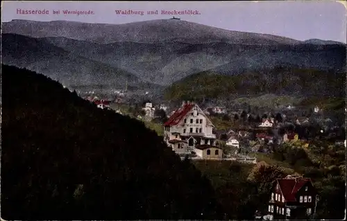 Ak Hasserode Wernigerode am Harz, Waldburg und Brockenblick, Panorama vom Ort