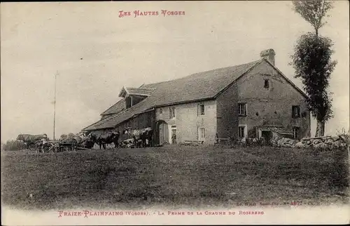 Ak Fraize Plainfaing, La Ferme de la Chaume du Rosenberg, Kühe