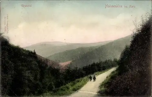 Ak Hahnenklee Bockswiese Goslar in Niedersachsen, Granetal, Wegepartie