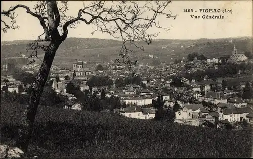 Ak Figeac Lot, Vue générale de la ville, prairie, Églises