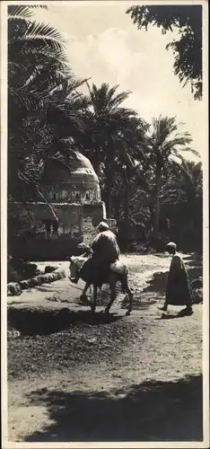 Mini Ak Ägypten, Village Arabe, tombeau, indigenes, ane