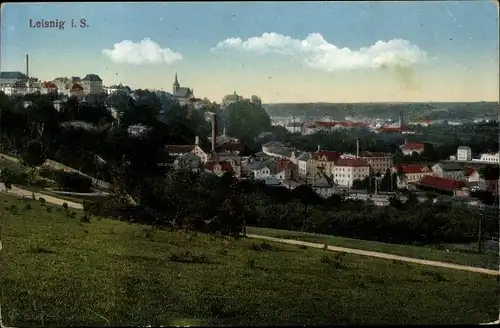 Ak Leisnig an der Freiberger Mulde Sachsen, Panorama vom Ort