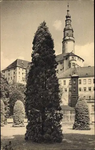 Ak Weesenstein Müglitztal in Sachsen, Parkbild aus Schloss Weesenstein