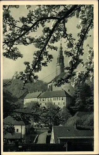 Ak Weesenstein Müglitztal in Sachsen, Schloss Weesenstein zur Baumblüte