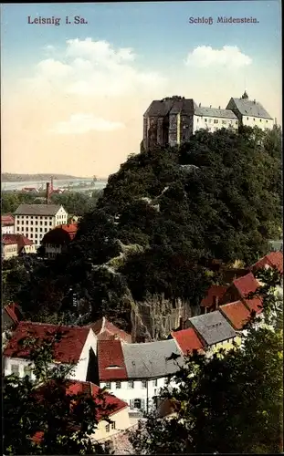 Ak Leisnig an der Freiberger Mulde Sachsen, Schloss Mildenstein, Blick über die Dächer der Stadt
