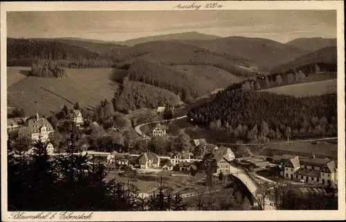 Ak Blauenthal Eibenstock im Erzgebirge, Blick auf Ortschaft und Umgebung