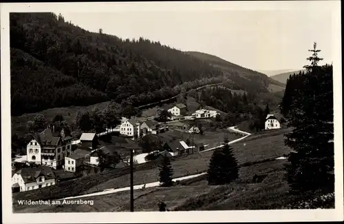 Ak Wildenthal Eibenstock im Erzgebirge, Blick auf Ortschaft und Umgebung