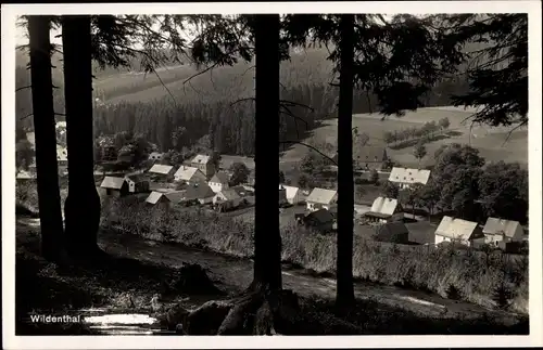 Ak Wildenthal Eibenstock im Erzgebirge, Blick durch Bäume hindurch zum Ort