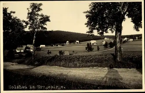 Ak Holzhau Rechenberg Bienenmühle Erzgebirge, Ortsansicht