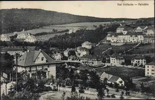 Ak Bad Gottleuba in Sachsen, Heilstätte, Panorama vom Ort