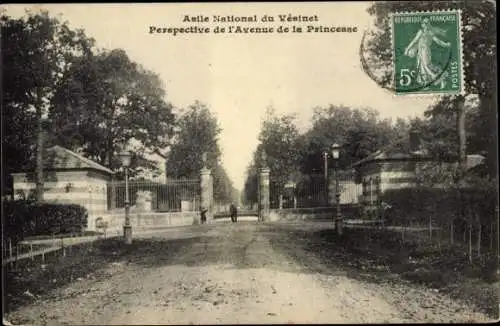 Ak Le Vésinet Yvelines, Asile National, Perspective de l'Avenue de la Princesse
