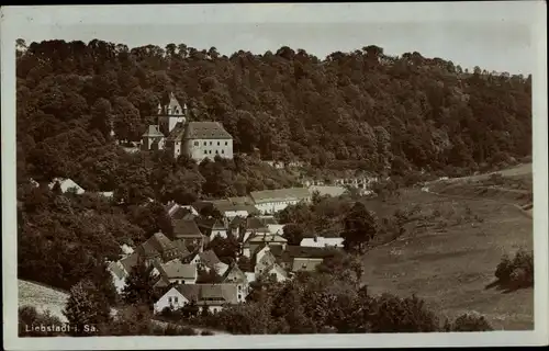 Ak Liebstadt im Erzgebirge, Blick über den Ort